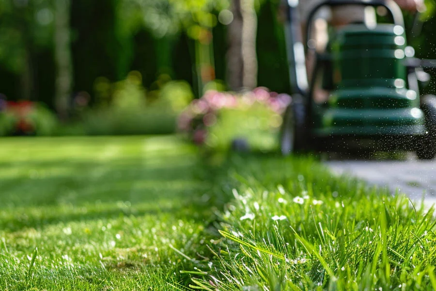 battery powered lawnmower