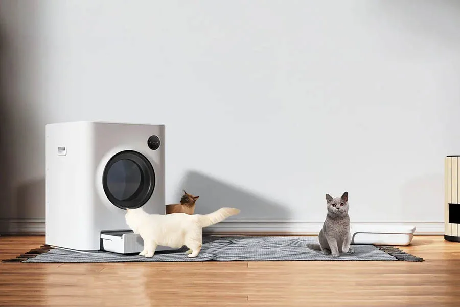 smart cat litter